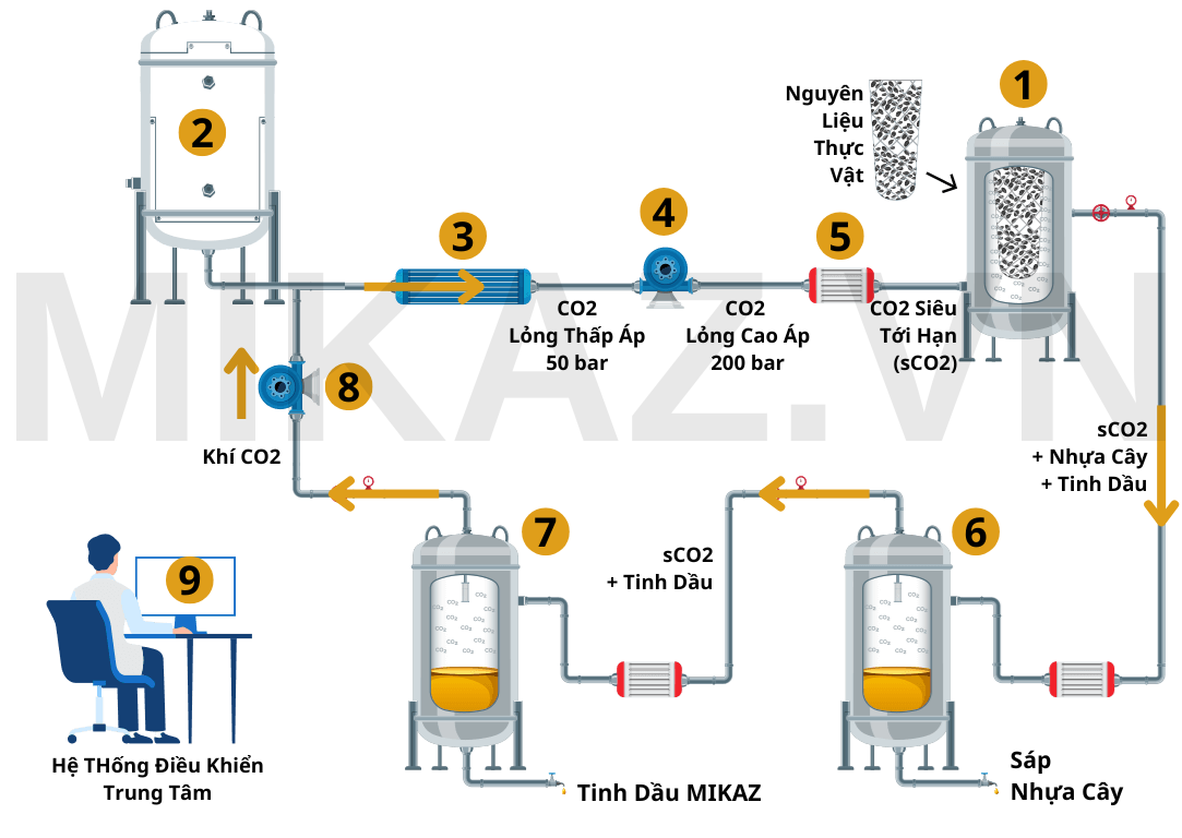 Minh họa quy trình chiết xuất CO2 siêu tới hạn — sơ đồ quá trình